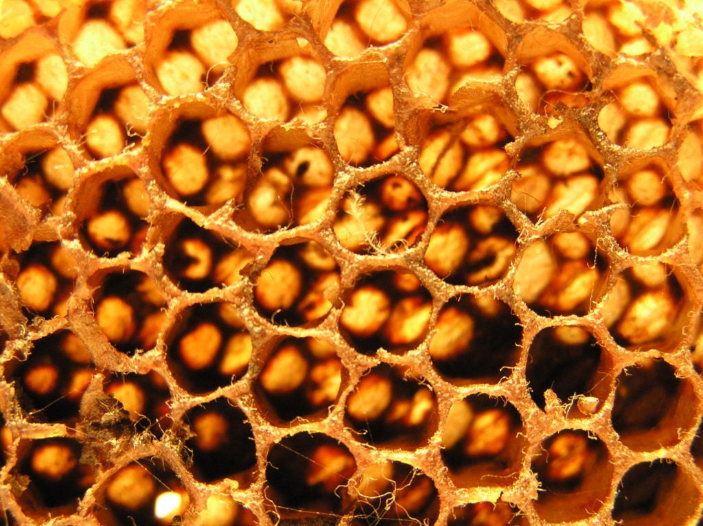 Honeycomb