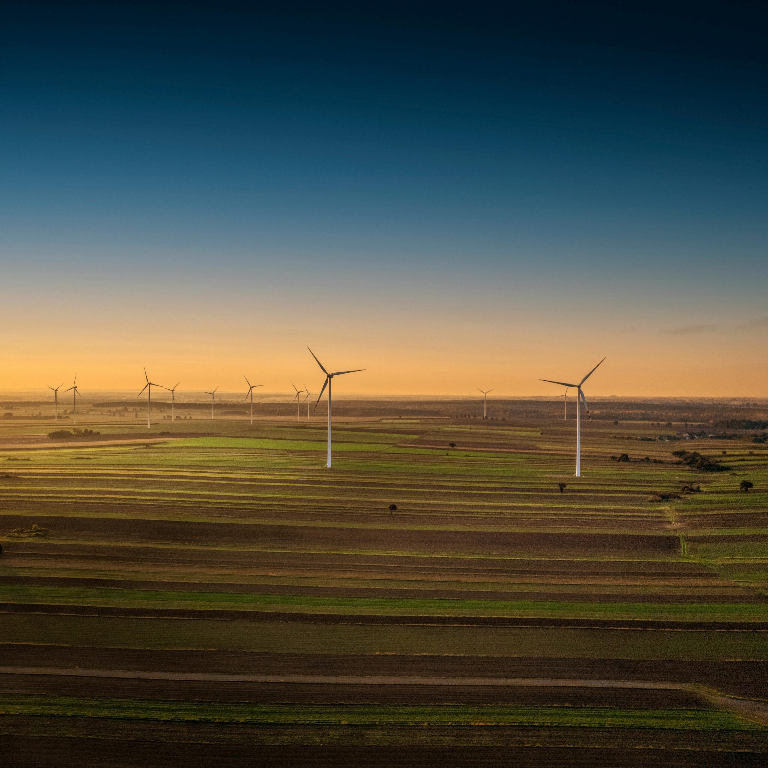 windmills in a field